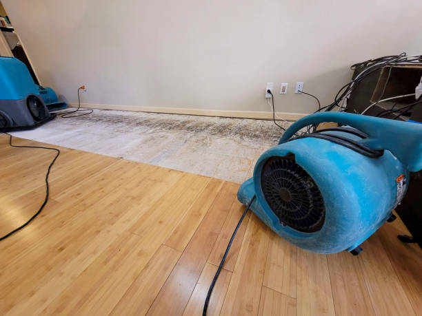 Professional Ceiling Water Damage Repair technician working in Groesbeck, OH